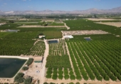 Non-developable land for sale on España, Orihuela, ref: TR358399 photo