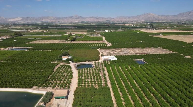 Alicante - Orihuela - 52422m2