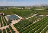 Non-developable land for sale on España, Orihuela, ref: TR358399 photo