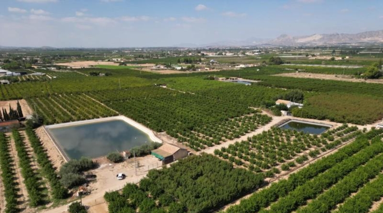 Alicante - Orihuela - 52422m2