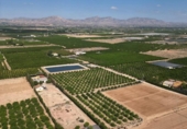 Non-developable land for sale on España, Orihuela, ref: TR358399 photo