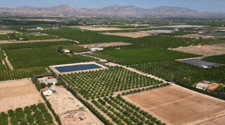 Alicante - Orihuela - 52422m2