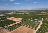 Non-developable land for sale on España, Orihuela, ref: TR358399 photo