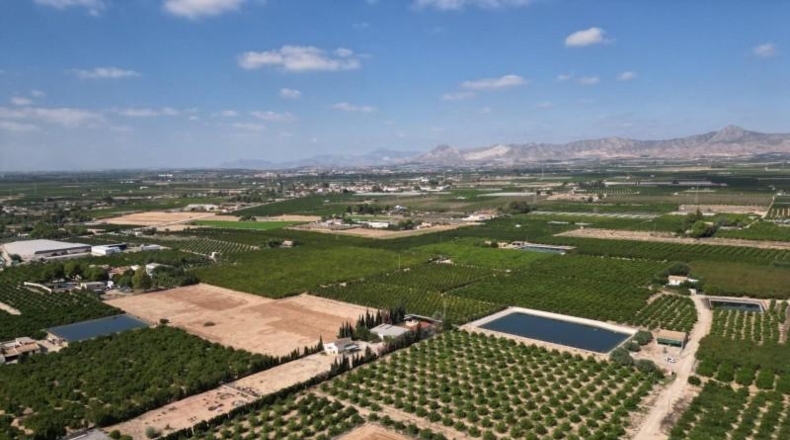 Alicante - Orihuela - 52422m2