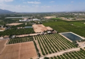 Non-developable land for sale on España, Orihuela, ref: TR358399 photo