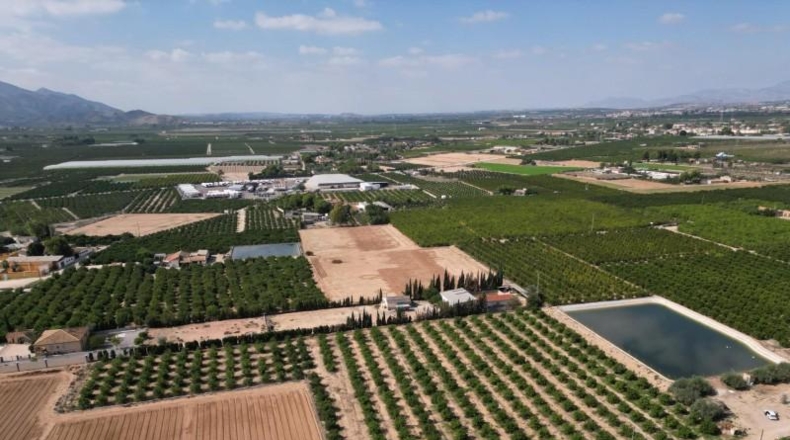 Alicante - Orihuela - 52422m2