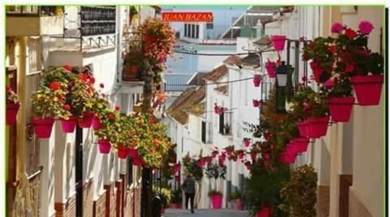Málaga - Estepona - 120m2