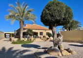 Casa de camp amb terreny en venda a la España, Blanca, ref.: TR333265 foto