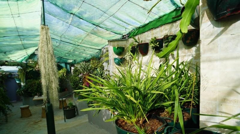 Santa Creu de Tenerife - Candelaria - 5091m2