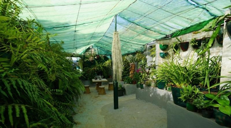 Santa Creu de Tenerife - Candelaria - 5091m2