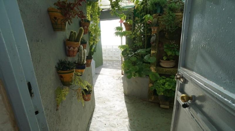 Santa Creu de Tenerife - Candelaria - 5091m2