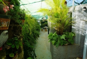 Foto 9