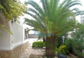 Detached villa with land for sale on España, Oliva, ref: TR154614 photo