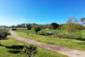 Ciudad Rodrigo 37290&nbsp;m² 