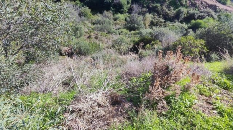 Malaga - Marbella - 1480m2