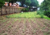 Casa de campo con terreno en venta en la España, La Carolina, ref: TR135869 foto