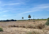 Non-developable land for sale on España, Las Bayas, ref: TR130657 photo