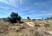 Non-developable land for sale on España, Las Bayas, ref: TR130657 photo