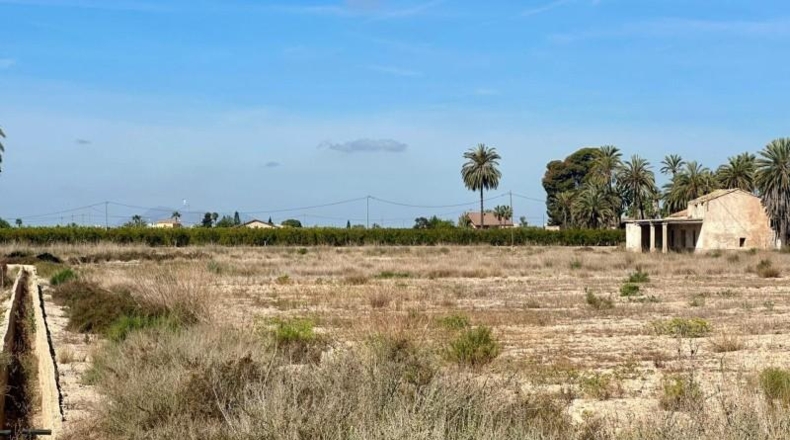 Alicante - Elche - 47000m2