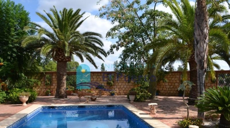 Murcia - Totana - 7000m2
