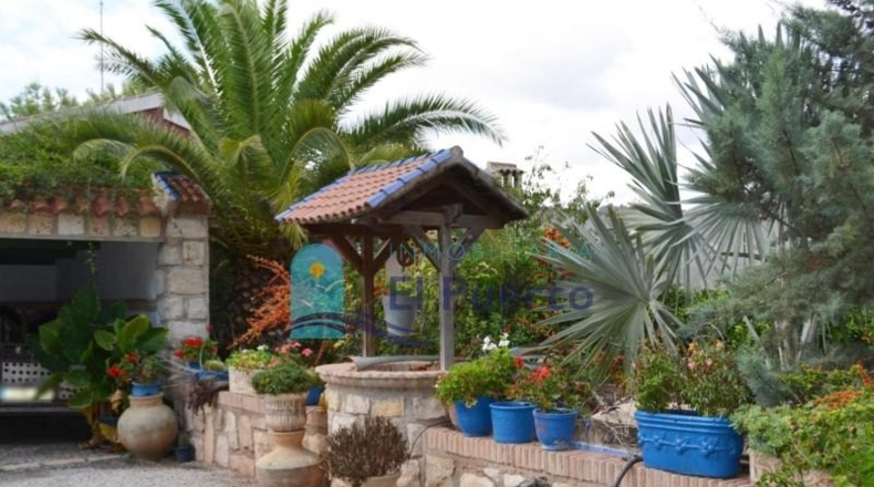 Murcia - Totana - 7000m2