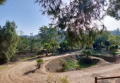 Casa de campo con terreno en venta en la España, Murcia, ref: TR191995 foto