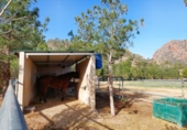 Casa de campo con terreno en venta en la España, Murcia, ref: TR191995 foto