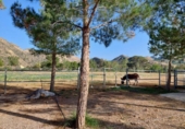Casa de campo con terreno en venta en la España, Murcia, ref: TR191995 foto