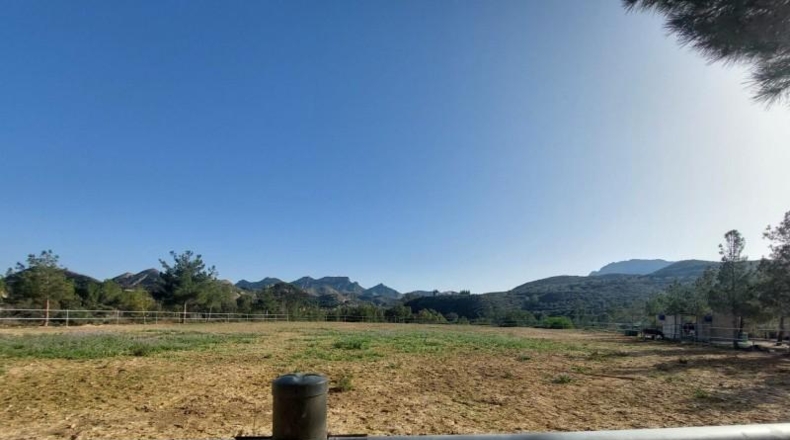 Murcia - Murcia - 27997m2