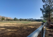 Casa de campo con terreno en venta en la España, Murcia, ref: TR191995 foto