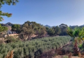 Casa de campo con terreno en venta en la España, Murcia, ref: TR191995 foto