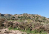 Casa de campo con terreno en venta en la España, Murcia, ref: TR191995 foto