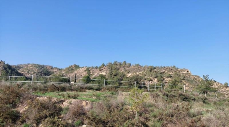 Murcia - Murcia - 27997m2