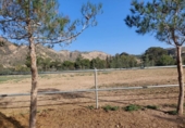 Casa de campo con terreno en venta en la España, Murcia, ref: TR191995 foto