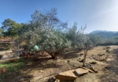 Casa de campo con terreno en venta en la España, Murcia, ref: TR191995 foto