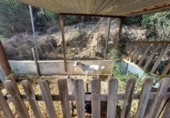 Casa de campo con terreno en venta en la España, Murcia, ref: TR191995 foto
