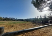 Casa de campo con terreno en venta en la España, Murcia, ref: TR191995 foto