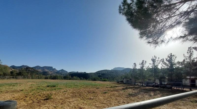 Murcia - Murcia - 27997m2