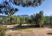 Casa de campo con terreno en venta en la España, Murcia, ref: TR191995 foto
