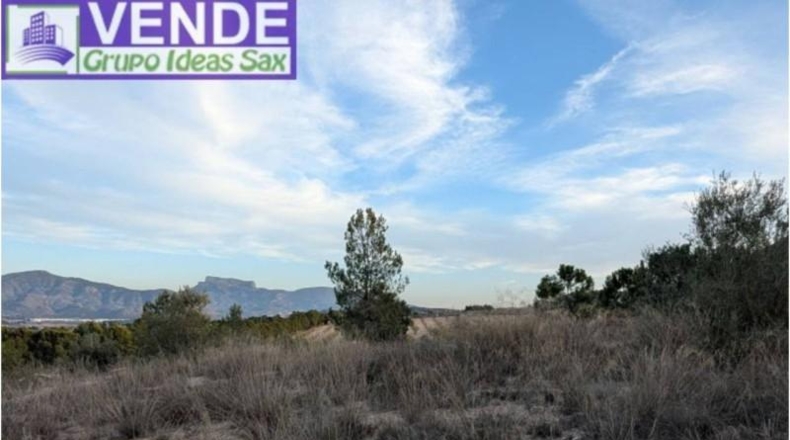Alicante - Sax - 210m2