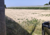 Xalet independent amb terreny en venda a la España, San Javier, ref.: TR277103 foto