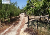 Chalet independiente con terreno en venta en la España, Finestrat, ref: TR133291 foto