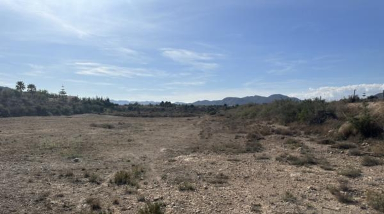 Alicante - Novelda - 123000m2