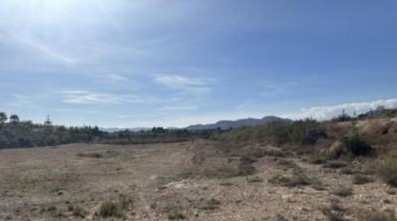 Alicante - Novelda - 123000m2