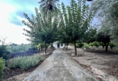 Casa de camp amb terreny en venda a la España, Dolores, ref.: TR381860 foto