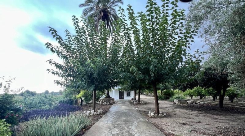 Alicante - Dolores - 260m2