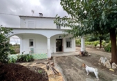 Casa de camp amb terreny en venda a la España, Dolores, ref.: TR381860 foto