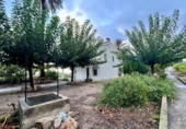Casa de camp amb terreny en venda a la España, Dolores, ref.: TR381860 foto