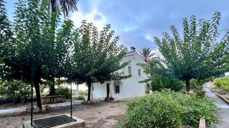 Alicante - Dolores - 260m2