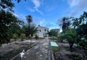 Casa de camp amb terreny en venda a la España, Dolores, ref.: TR381860 foto